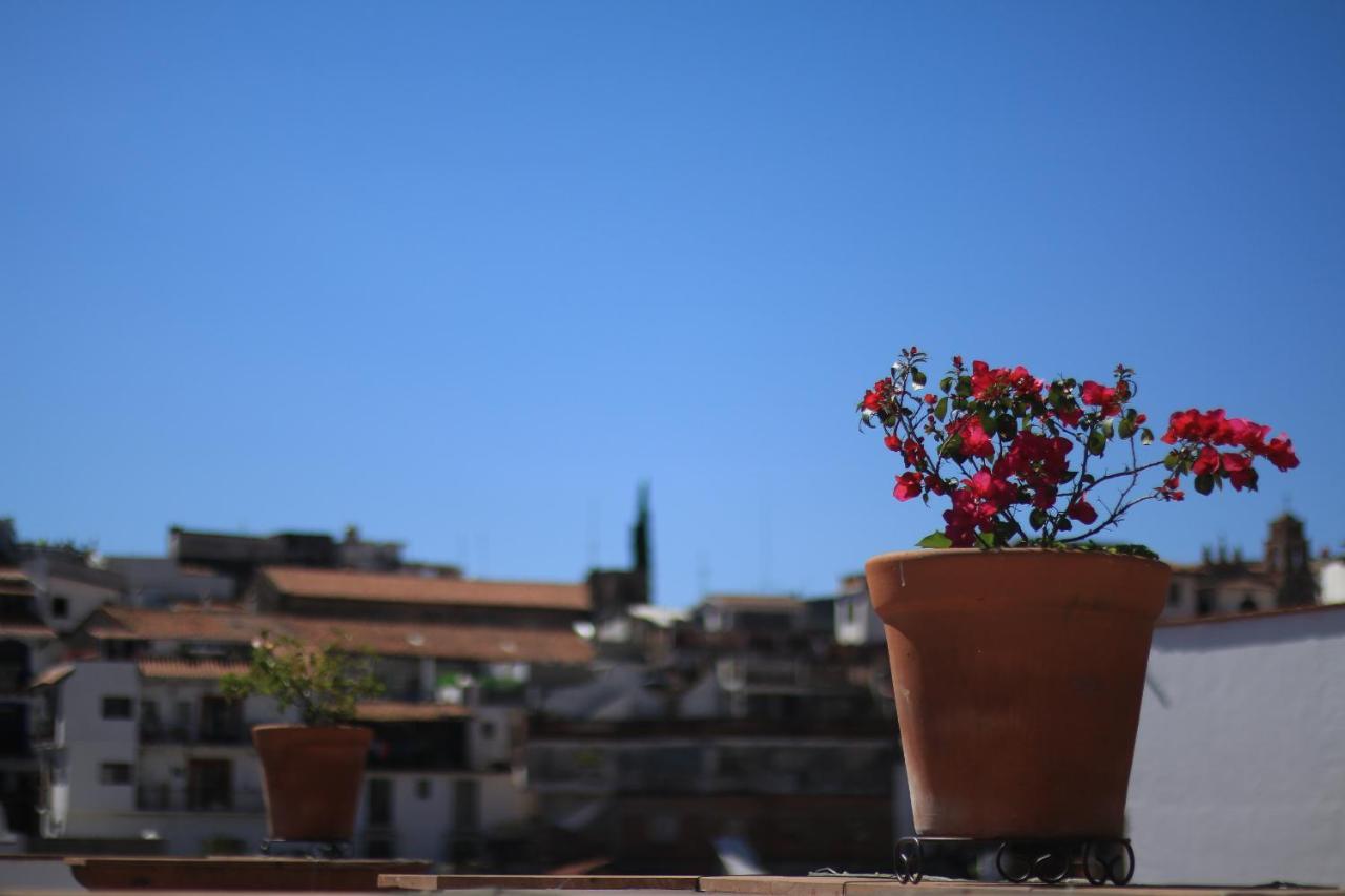 Hotel Santa Paula Taxco de Alarcon Ngoại thất bức ảnh
